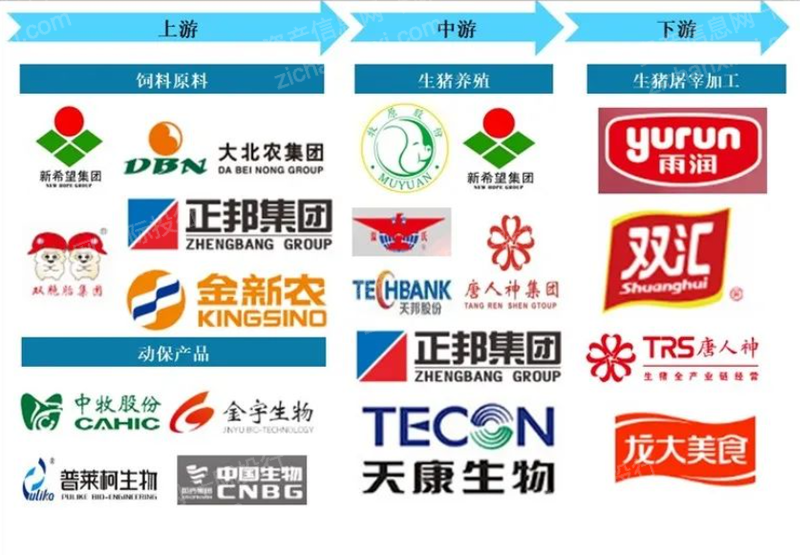 凯时尊龙人生就是博·Z6(中国)首页官网