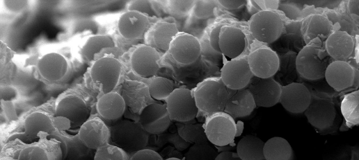 凯时尊龙人生就是博·Z6(中国)首页官网