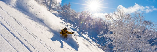 凯时尊龙人生就是博·Z6(中国)首页官网