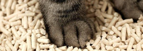 凯时尊龙人生就是博·Z6(中国)首页官网