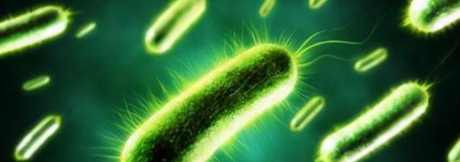 凯时尊龙人生就是博·Z6(中国)首页官网