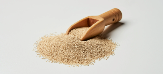 凯时尊龙人生就是博·Z6(中国)首页官网