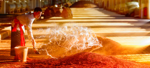 凯时尊龙人生就是博·Z6(中国)首页官网