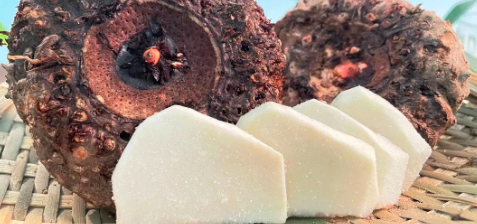 凯时尊龙人生就是博·Z6(中国)首页官网