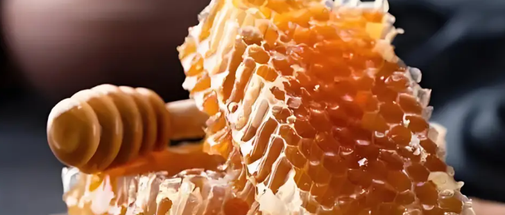 凯时尊龙人生就是博·Z6(中国)首页官网