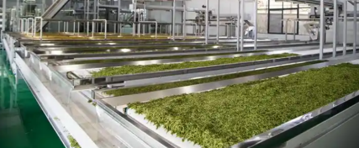 凯时尊龙人生就是博·Z6(中国)首页官网