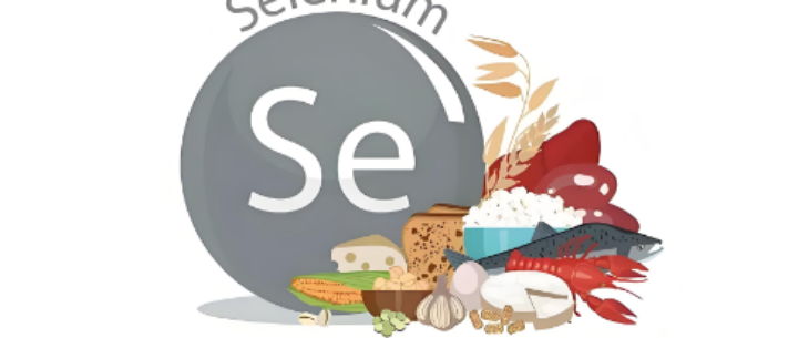 凯时尊龙人生就是博·Z6(中国)首页官网