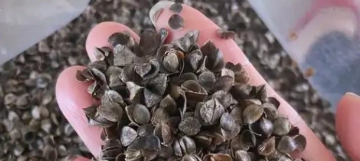 凯时尊龙人生就是博·Z6(中国)首页官网