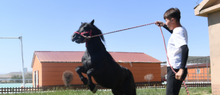 凯时尊龙人生就是博·Z6(中国)首页官网