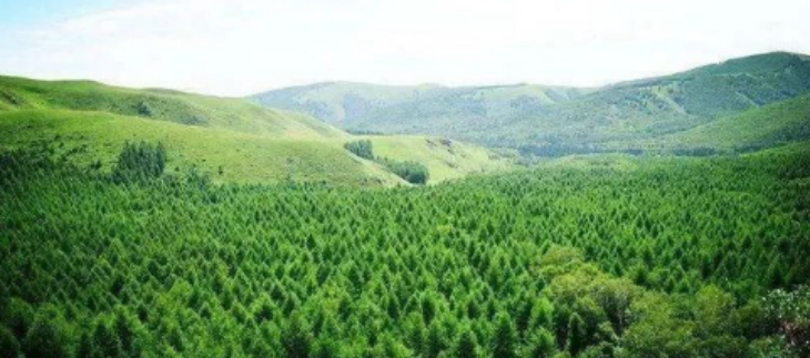 凯时尊龙人生就是博·Z6(中国)首页官网