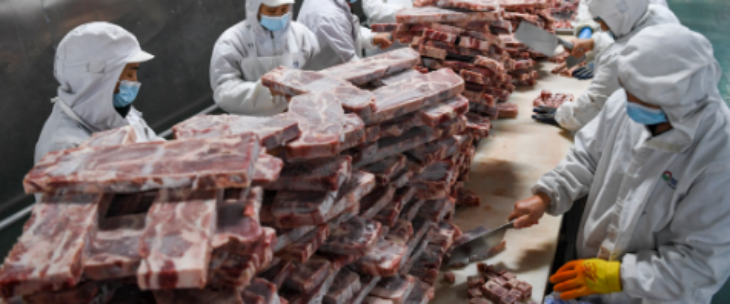 凯时尊龙人生就是博·Z6(中国)首页官网