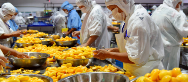 凯时尊龙人生就是博·Z6(中国)首页官网