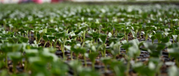 凯时尊龙人生就是博·Z6(中国)首页官网