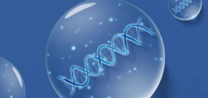 凯时尊龙人生就是博·Z6(中国)首页官网